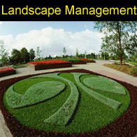 landscape_management