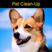 pet_clean_up