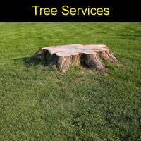 tree_services