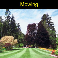 mowing
