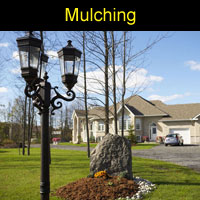 mulching